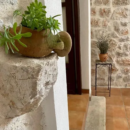 Mediterranea Βίλα