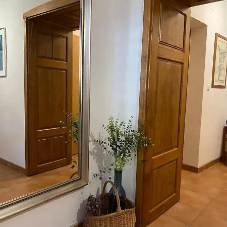 Mediterranea *