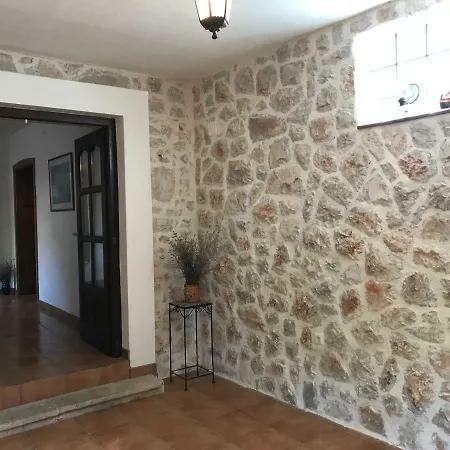 Mediterranea * Murter