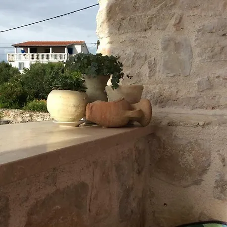 Mediterranea * Murter