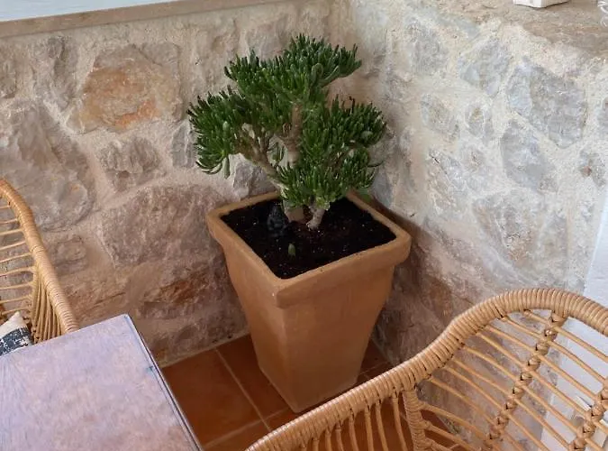 Villa Mediterranea *