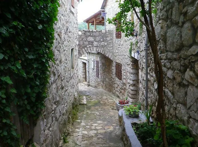 Mediterranea * Murter