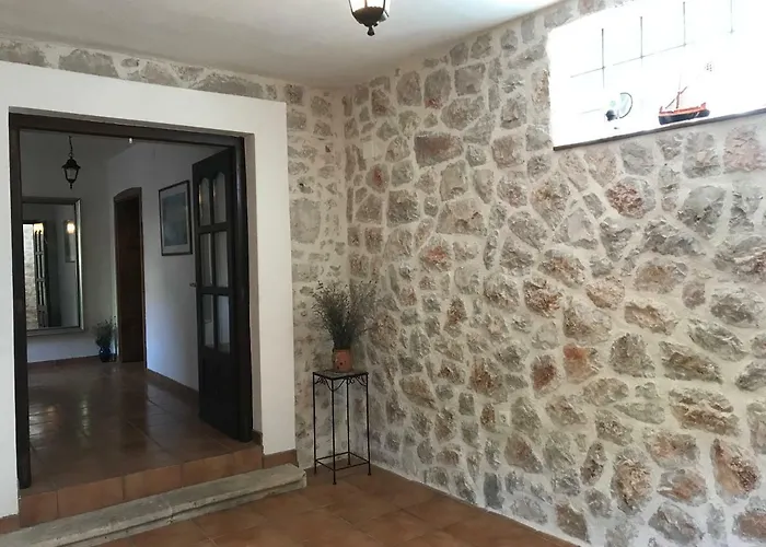 Mediterranea * מורטר