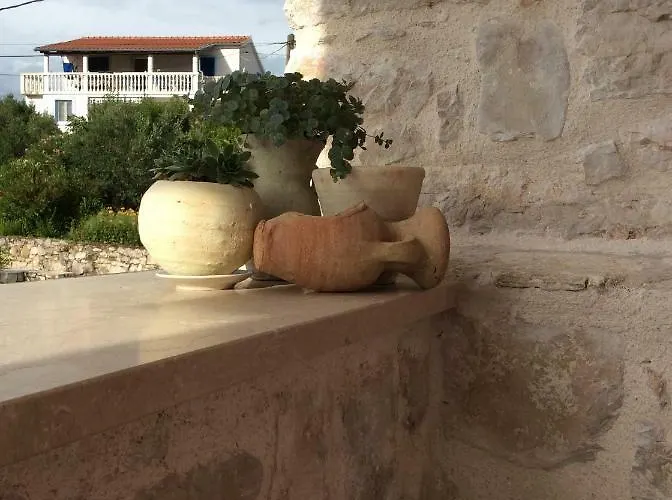 Mediterranea * מורטר