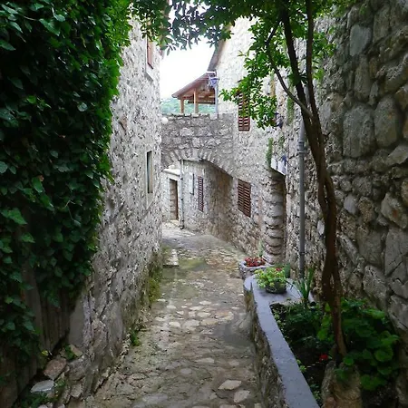 Mediterranea * Murter